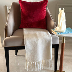 Red Velvet Throw Cushion Cover - Festive Rouge