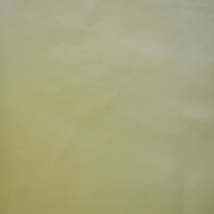 Light Green Faux Leather Fabric By The Metre, Artificial Leather