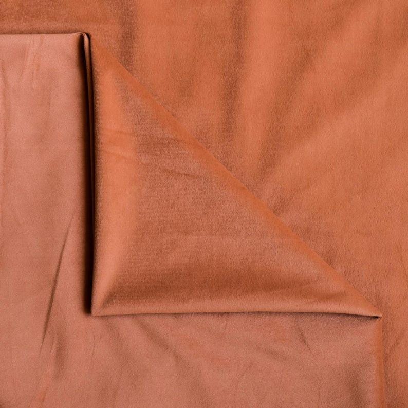 Tan Velvet Curtain Panels