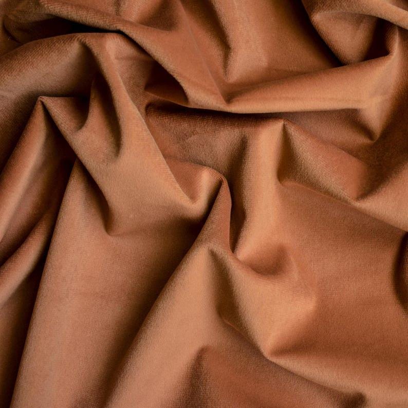 Tan Velvet Curtain Panels