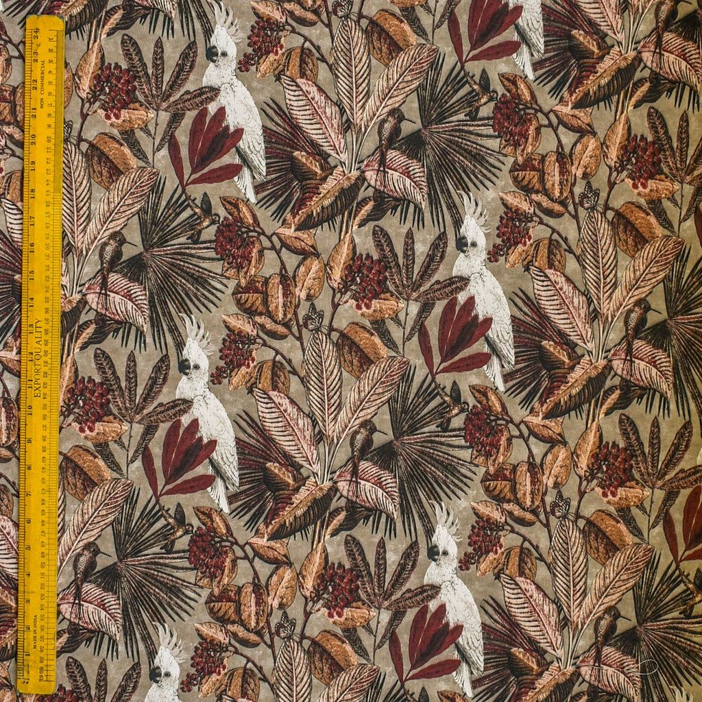 Beige, Brown Cockatoo Cotton Spun Printed Curtain Panels