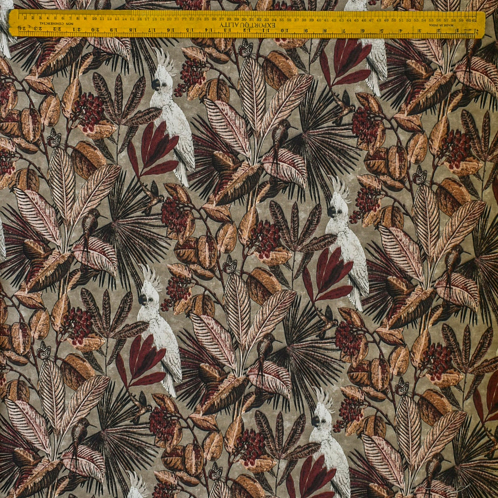 Beige, Brown Cockatoo Cotton Spun Printed Curtain Panels