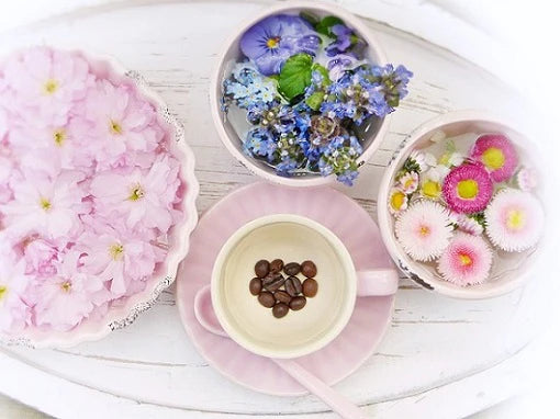 Is your home spring ready?