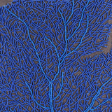 Royal Blue Sea Weeds - Blue Cotton Linen Throw Pillow Cover