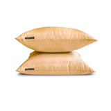 Beige Art Silk Throw Cushion Cover Pack Of 2 - Beige Luxury