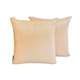 Beige Luxury - Beige Art Silk Throw Pillow Cover Pack Of 2