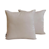 Light Gray Luxury Pack of 2 - Light Gray Art Silk Throw Cushion Cover