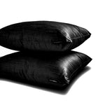 Black Luxury Pack of 2 - Black Art Silk Throw Cushion Cover