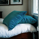 Peacock Green Luxury - Peacock Green Silk Throw Cushion Cover Pack of 2