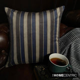 Stripe Flow Blue Throw Cushion Cover