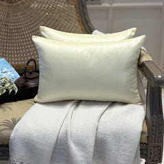 Cream Luxury Pack of 2 - Cream Art Silk Throw Cushion Cover