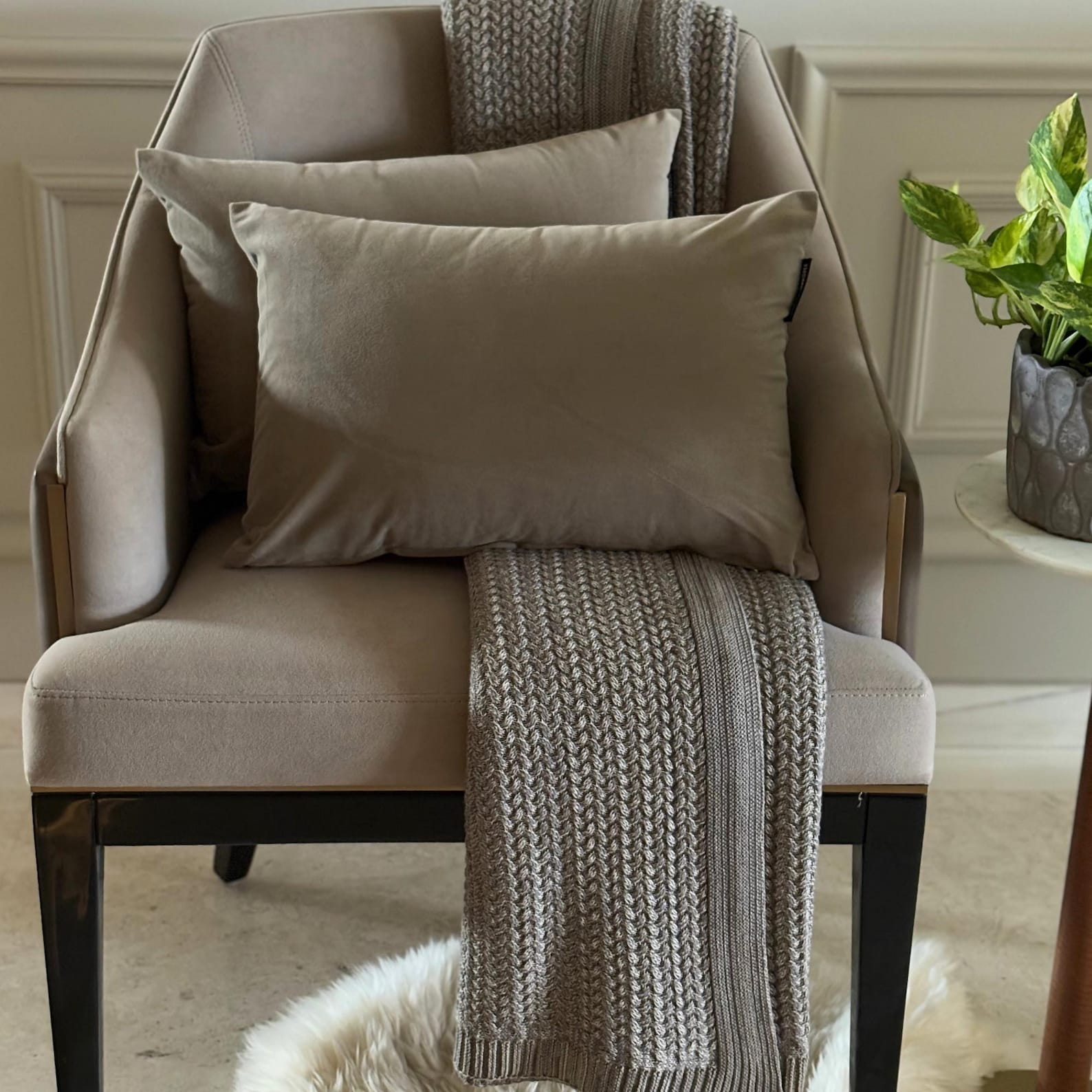 Taupe Velvet Dream Lumbar Cushion Cover