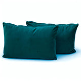 Peacock Velvet Lumbar Cushion Cover Pack of 2 - Peacock Velvet Dream