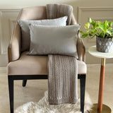 Light Gray Velvet Dream Lumbar Cushion Cover