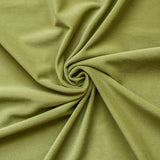 Light Olive Green Velvet Curtain Panels