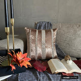 City Of Silver - Beige Velvet Throw Cushion  Cover