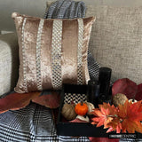 City Of Silver - Beige Velvet Throw Cushion  Cover