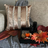 City Of Silver - Beige Velvet Throw Cushion  Cover