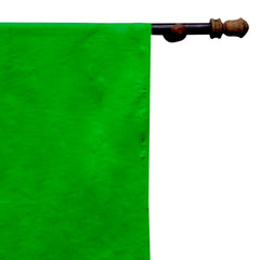 Grass Green Silk Dupioni Curtain Panels
