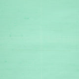Mint Green Silk Dupioni Curtain Panels