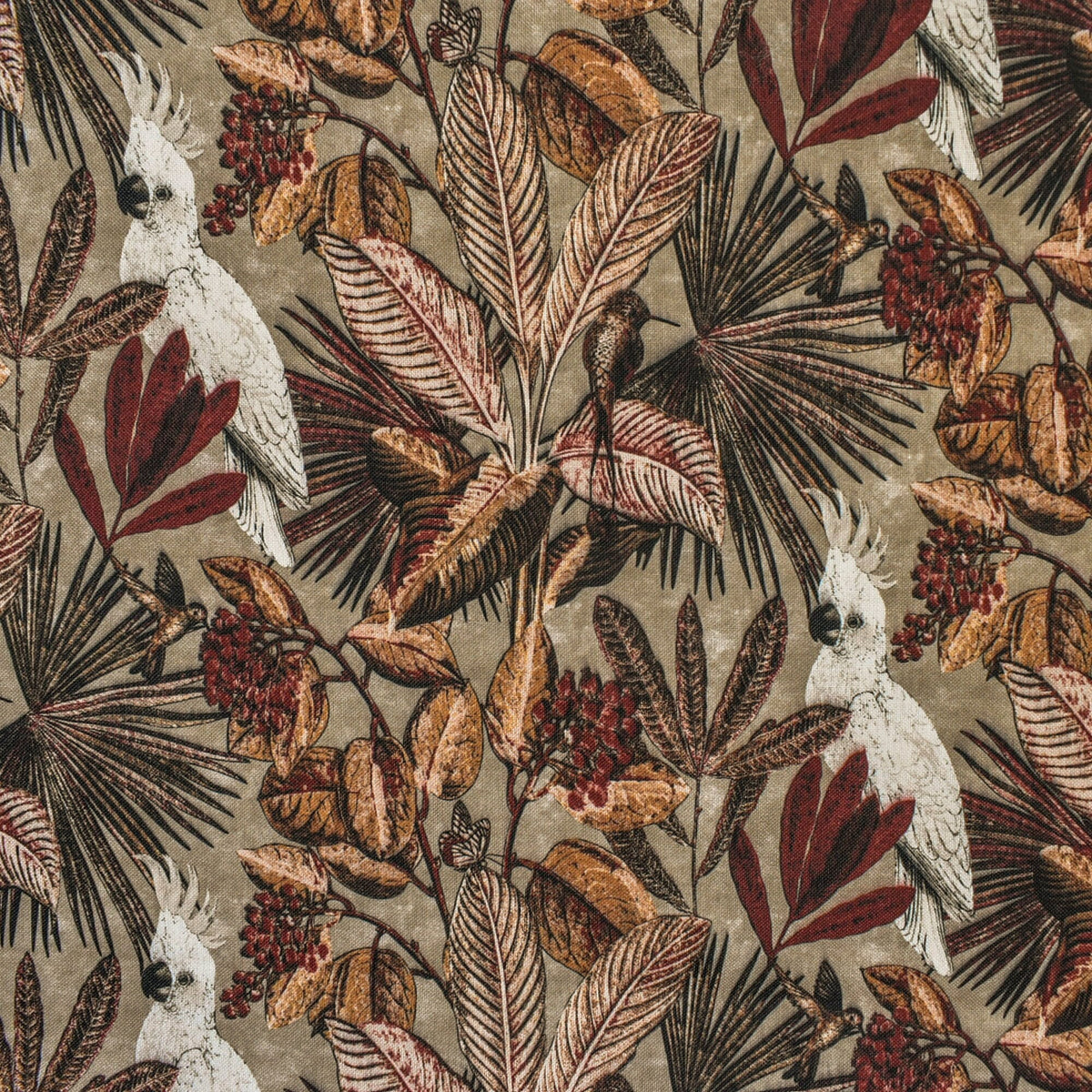 Beige, Brown Cockatoo Cotton Spun Printed Curtain Panels