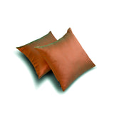 Rust Green Luxury - Rust & Green Art Silk Throw Cushion Cover Pack of 2