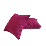 Lilac Luxury - Lilac Art Silk Throw Cushion Cover Pack of 2