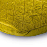 Lemongrass Soul Velvet Decorative Euro Sham