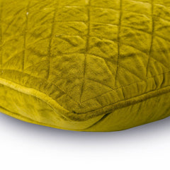 Lemongrass Soul Velvet Throw Pillow Cover